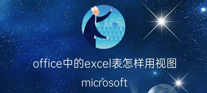 office中的excel表怎样用视图 microsoft project中视图和报表的区别？